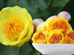 Trà hoa vàng loại 3